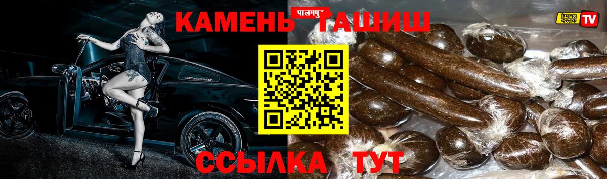 ГАШ Premium Краснознаменск