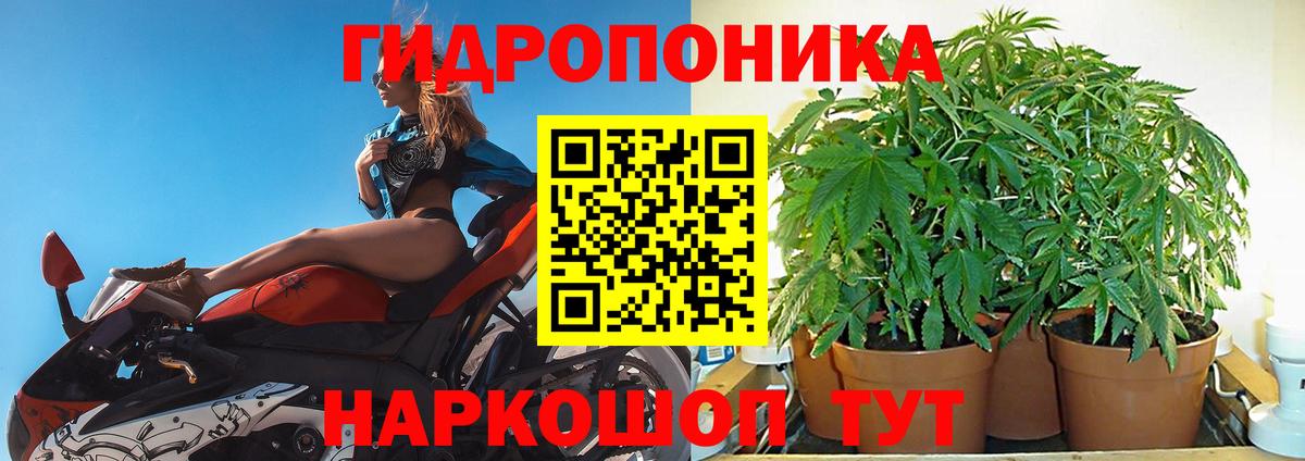 Бошки Шишки SATIVA & INDICA  Каннабис гибрид  Канабис THC 21%  Вход с VPN  Краснознаменск  Бошки марихуана MAZAR 